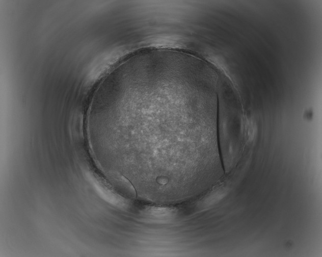 X0000116670205200912291705