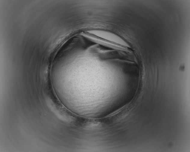 X0000116670206200912291705