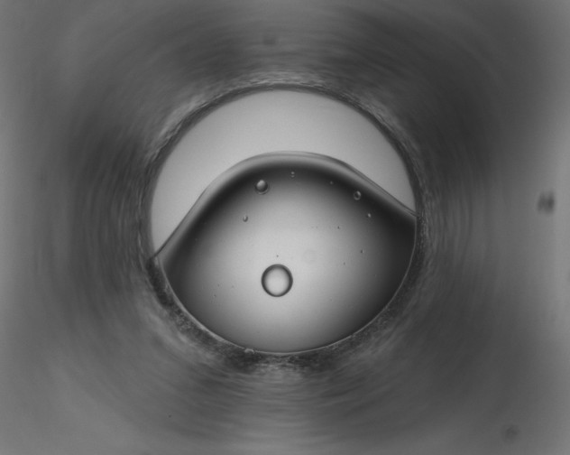 X0000116670207200912291705