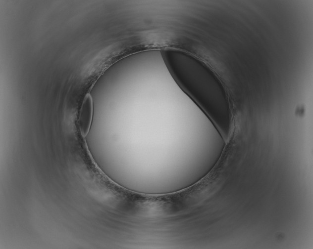 X0000116670209200912291705