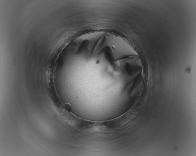 X0000116670210200912291705