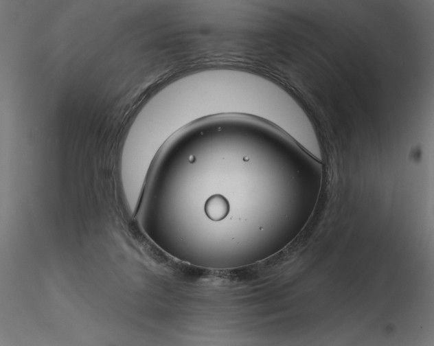 X0000116670211200912291705