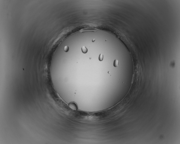 X0000116670212200912291705