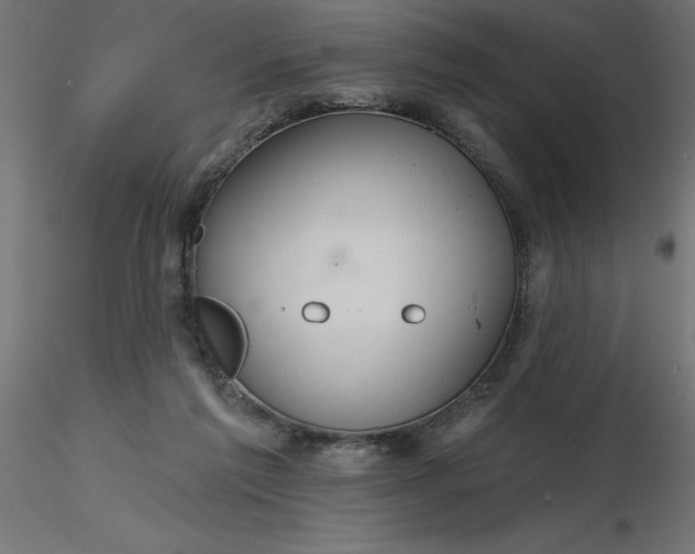 X0000116670213200912291705