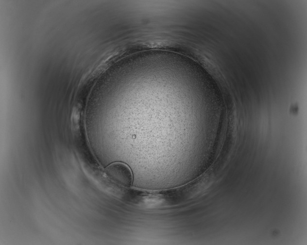 X0000116670214200912291705