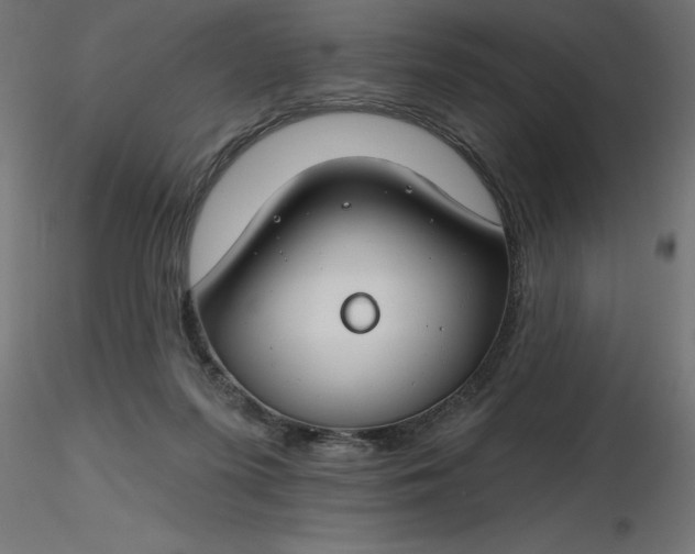 X0000116670215200912291705