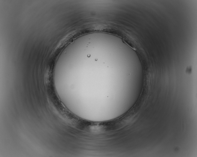 X0000116670216200912291705