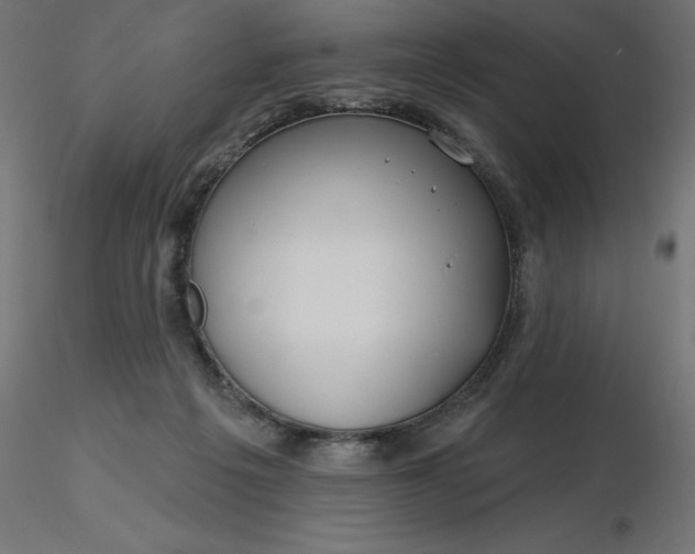 X0000116670217200912291705