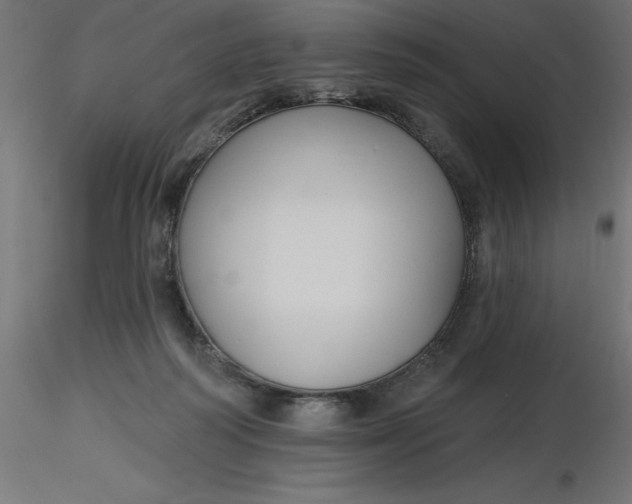 X0000116670218200912291705