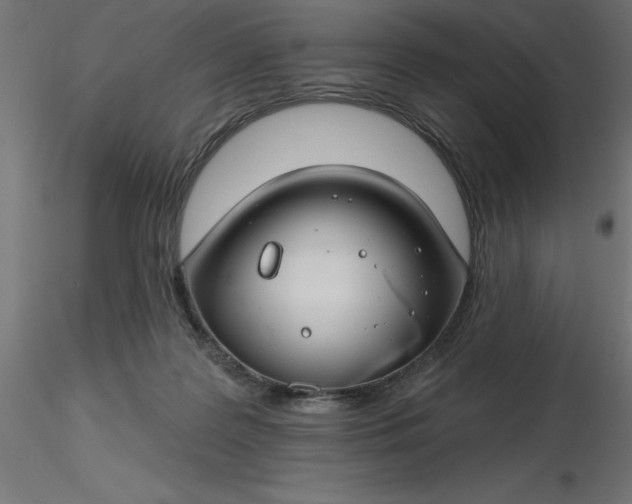 X0000116670219200912291705