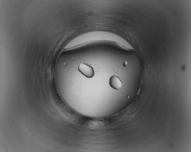 X0000116670220200912291705