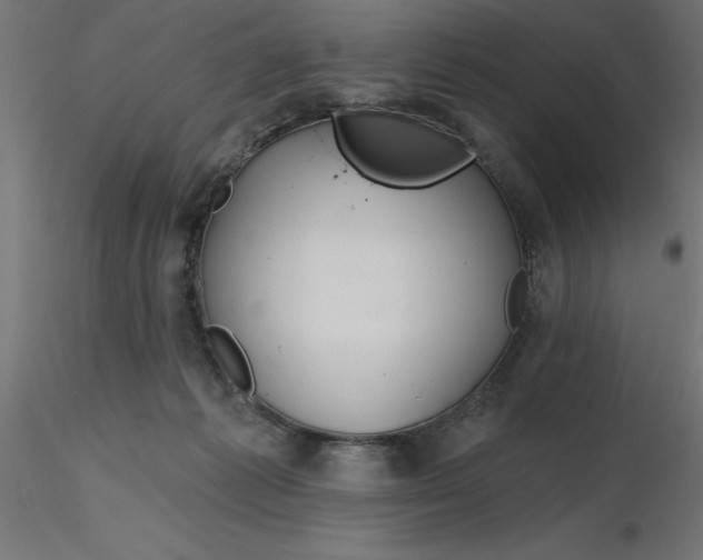 X0000116670221200912291705