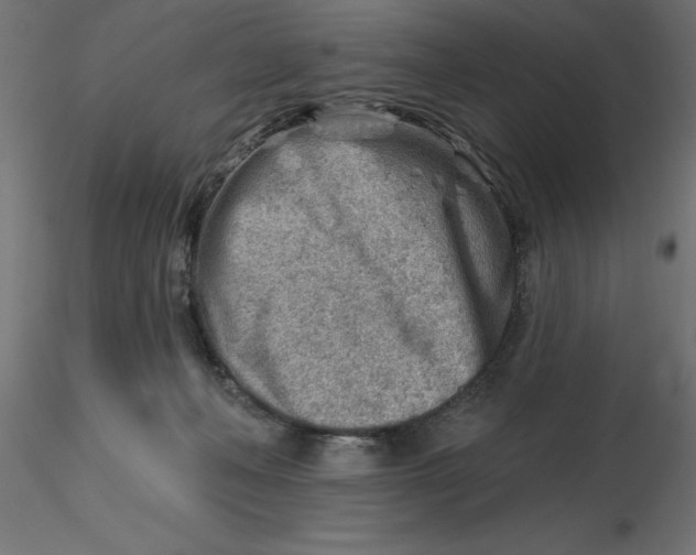 X0000116670222200912291705