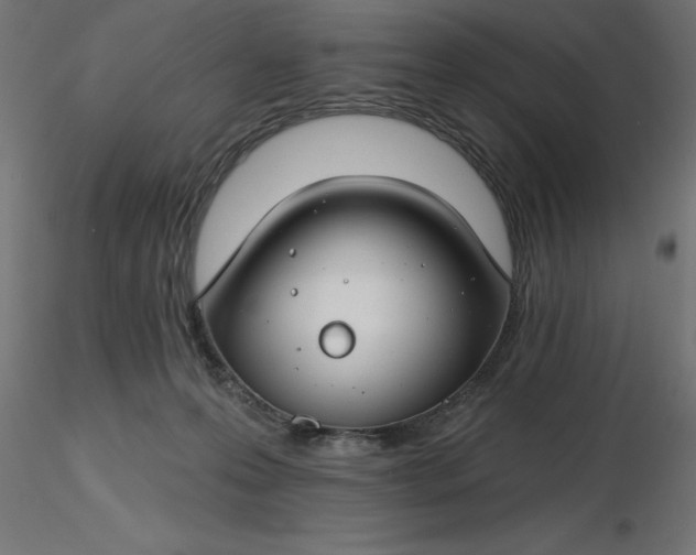 X0000116670223200912291705