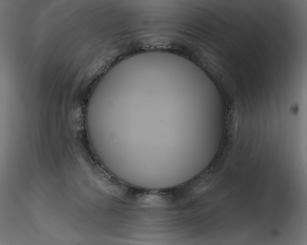 X0000116670224200912291705