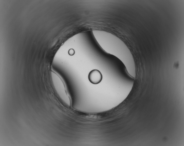 X0000116670225200912291705