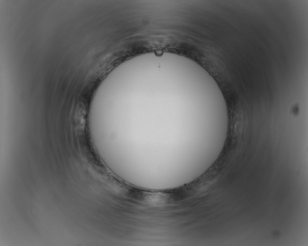 X0000116670226200912291705