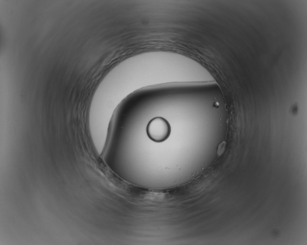 X0000116670227200912291705