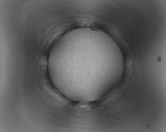 X0000116670228200912291705