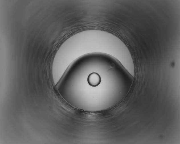 X0000116670229200912291705