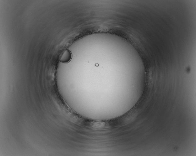 X0000116670230200912291705