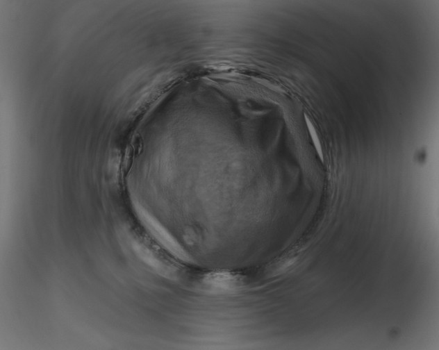 X0000116670231200912291705