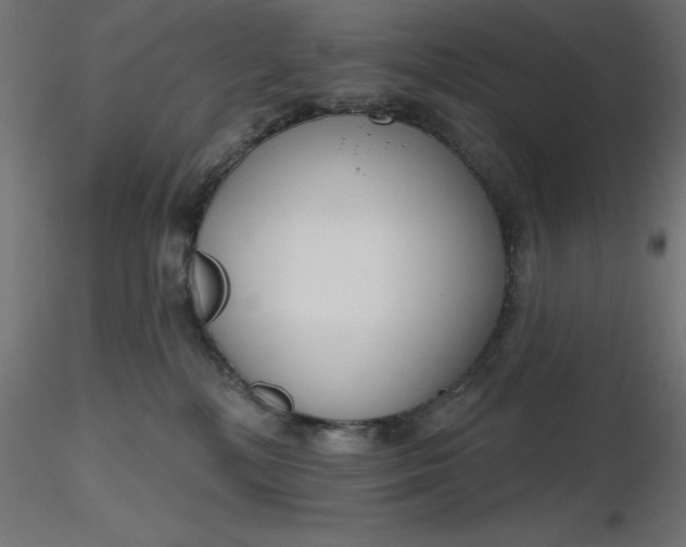 X0000116670232200912291705