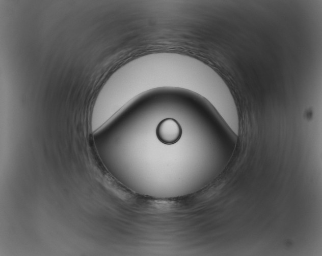 X0000116670233200912291705