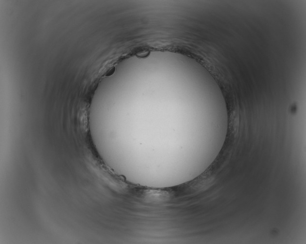 X0000116670234200912291705