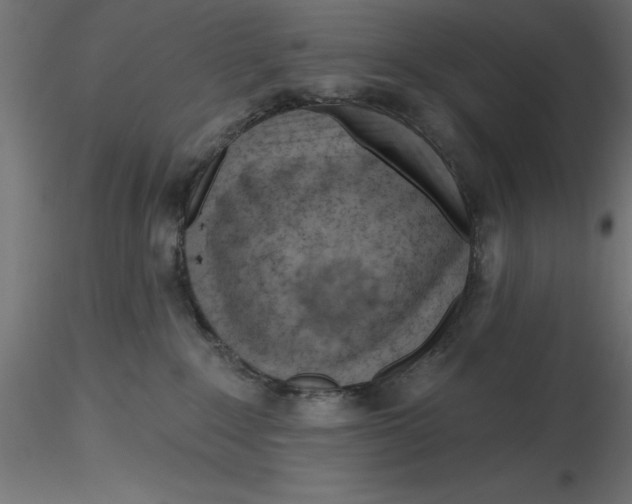 X0000116670235200912291705