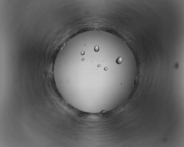 X0000116670236200912291705