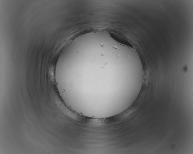 X0000116670238200912291705