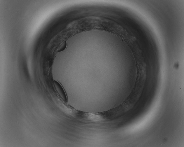 X0000116670239200912291705