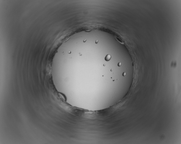 X0000116670240200912291705