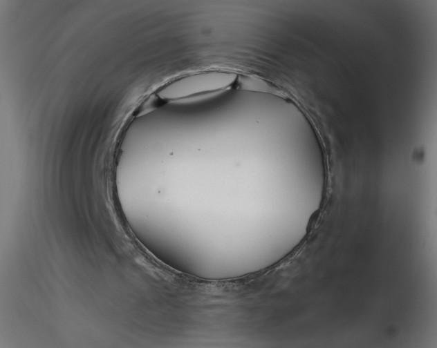 X0000116670241200912291704