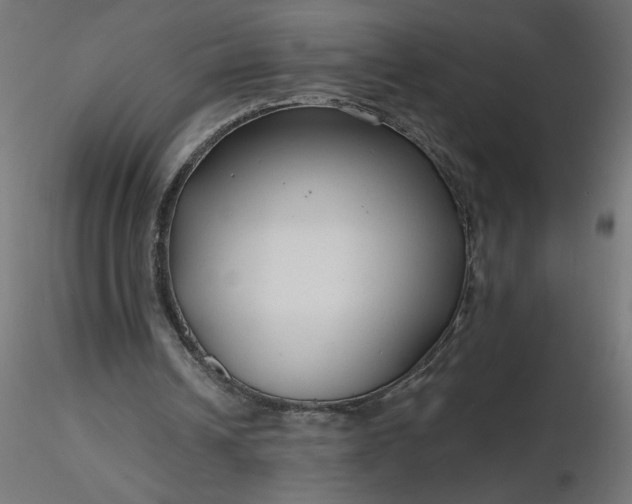 X0000116670242200912291704