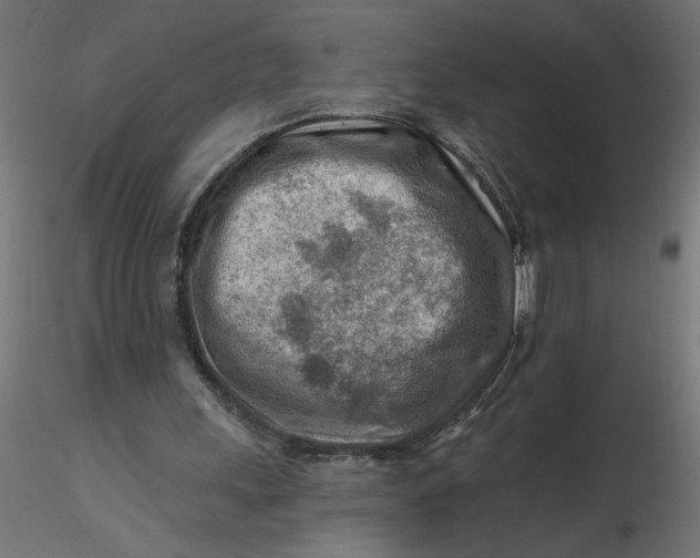 X0000116670243200912291704