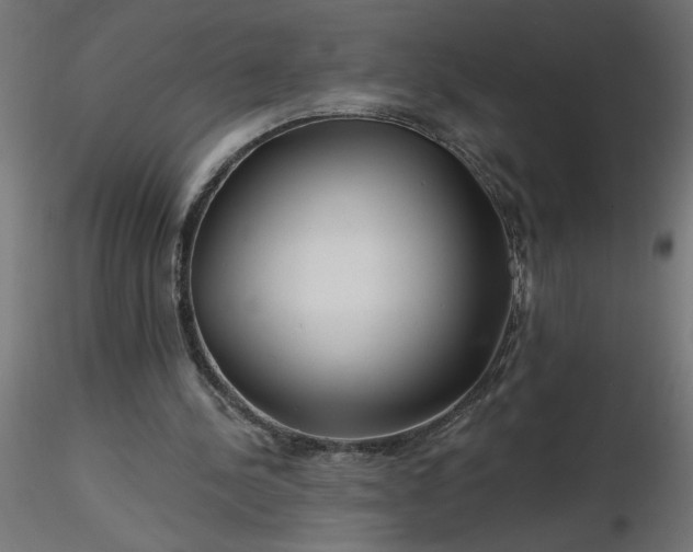 X0000116670244200912291704