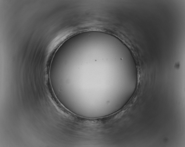 X0000116670245200912291704