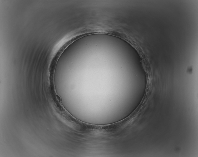 X0000116670246200912291704