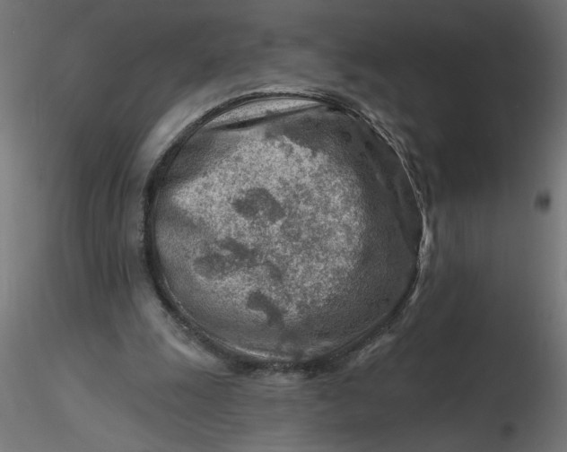 X0000116670247200912291704