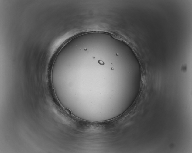 X0000116670248200912291704