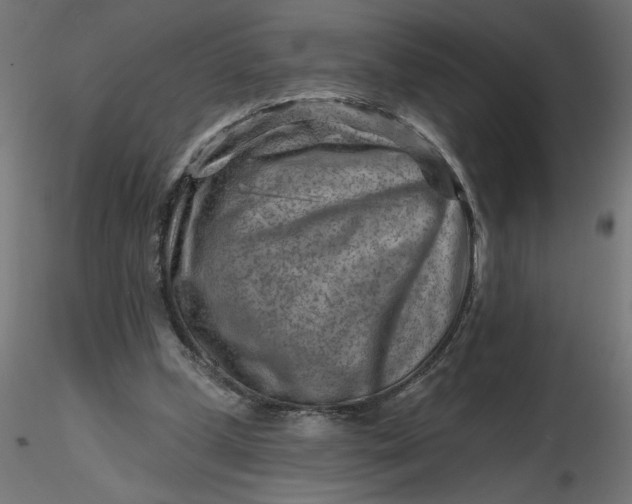 X0000116670249200912291704