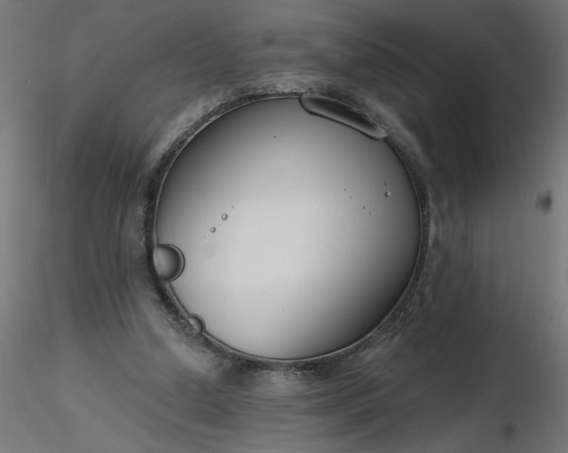 X0000116670250200912291704