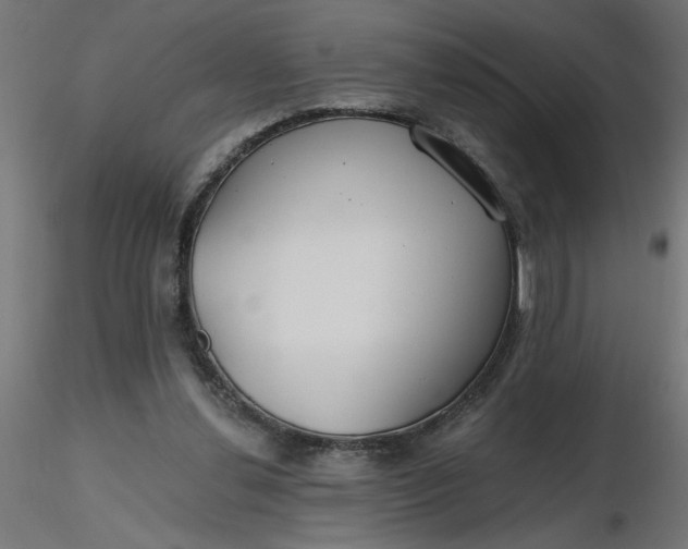 X0000116670252200912291704