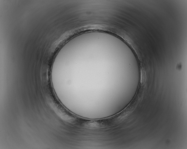 X0000116670253200912291704