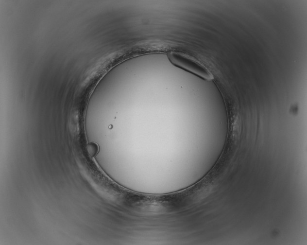 X0000116670254200912291704