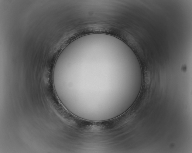 X0000116670255200912291704