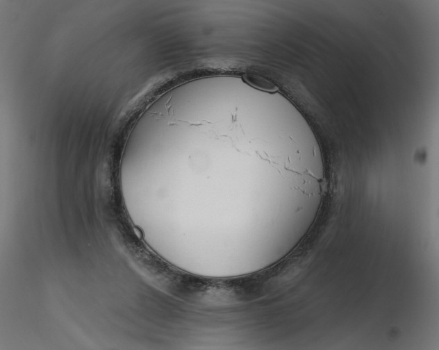 X0000116670256200912291704