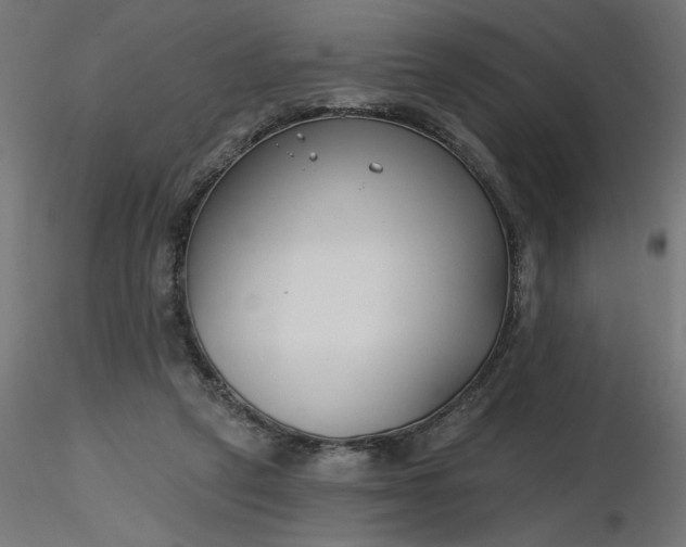 X0000116670257200912291704